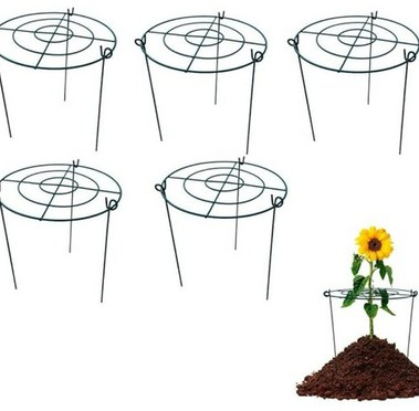 Plant Support